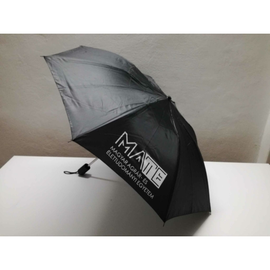Összecsukható esernyő - fekete