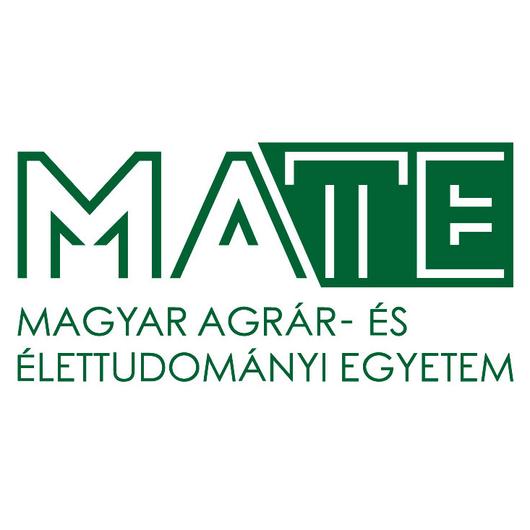 Mechanikai esettanulmányok II. (gyakorlatok) 